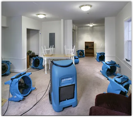 Water Mitigation Services in Rogers, AR