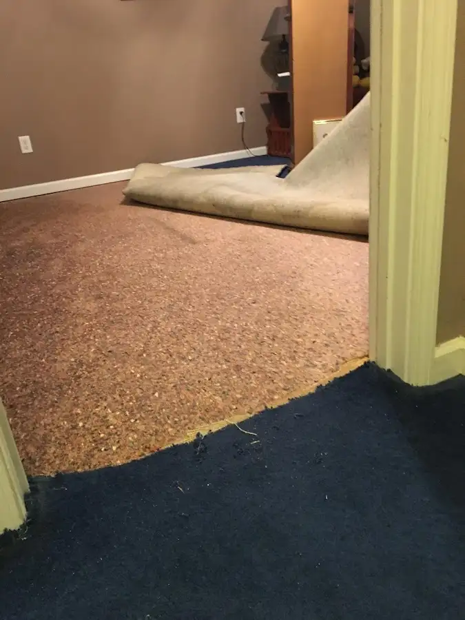 Carpet pad removal revealing water damage during Water Mitigation Services in Rogers