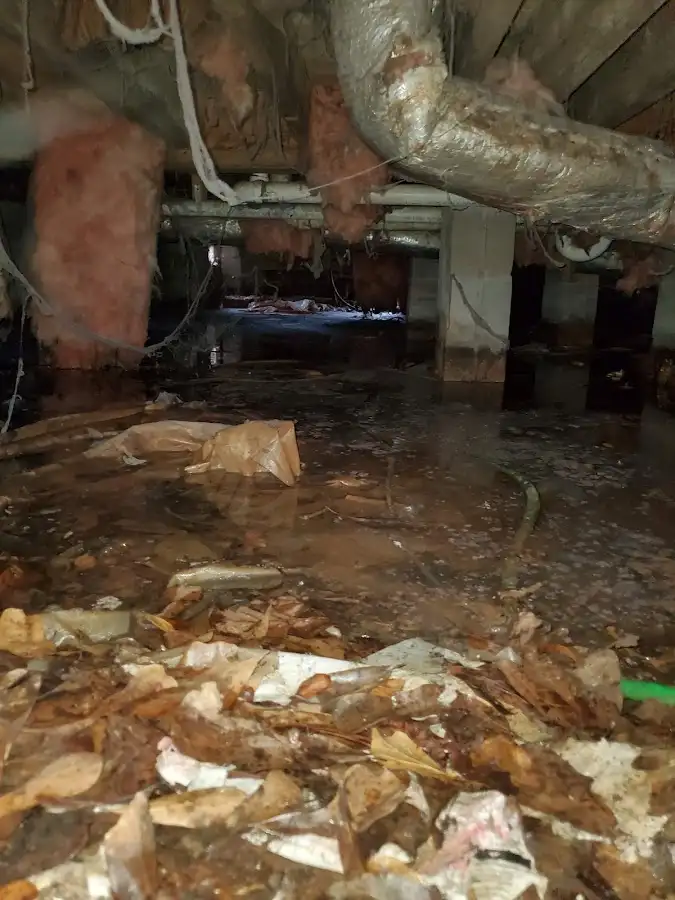 Crawl space flood assessment for Commercial Water Damage Restoration in Rogers