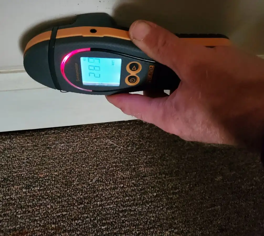 Moisture detection at baseboard during Sewage Cleanup & Sanitation in Rogers